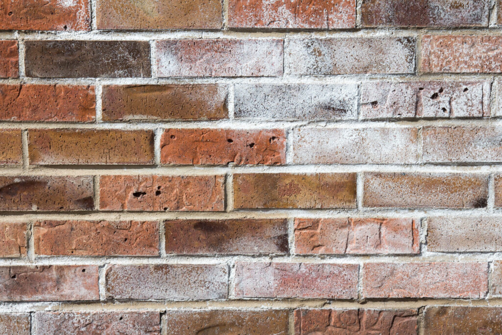 Efflorescence Removal and Brick Cleaning